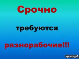 Разнорабочий на завод (частые выплаты, авансы)