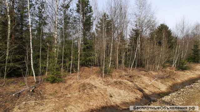 Земельный участок в Наро-фоминском районе