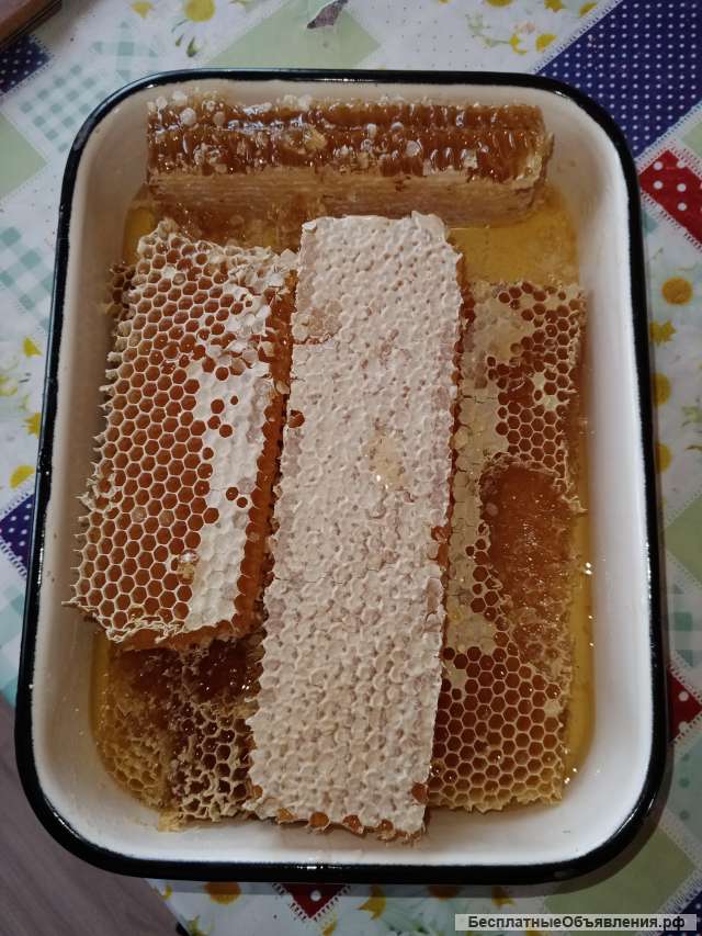 Мед лесной башкирский натуральный