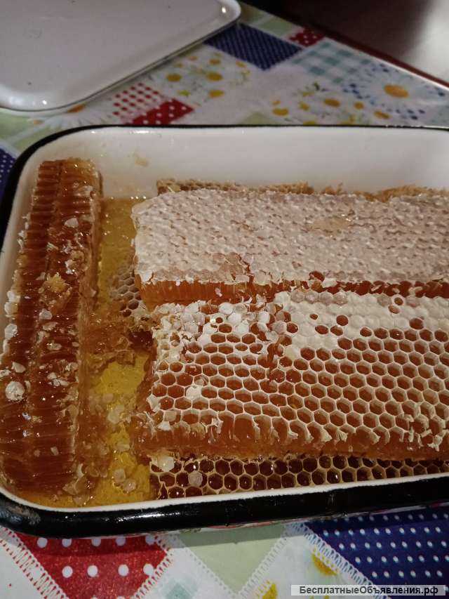 Мед лесной башкирский