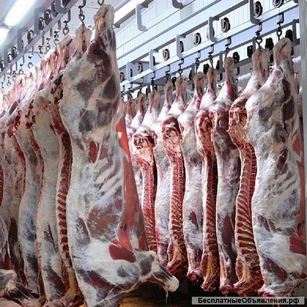 Производство и оптовые продажи мяса в ассортименте