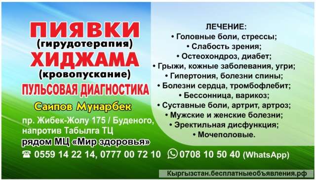 Пиявки (гирудотерапия). Хиджама (кровопускание). Пульсовая диагностика. Венозное кровопускание.