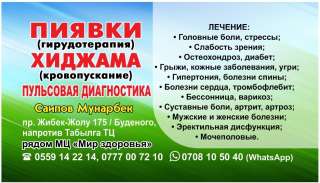 Пиявки (гирудотерапия). Хиджама (кровопускание). Пульсовая диагностика. Венозное кровопускание.