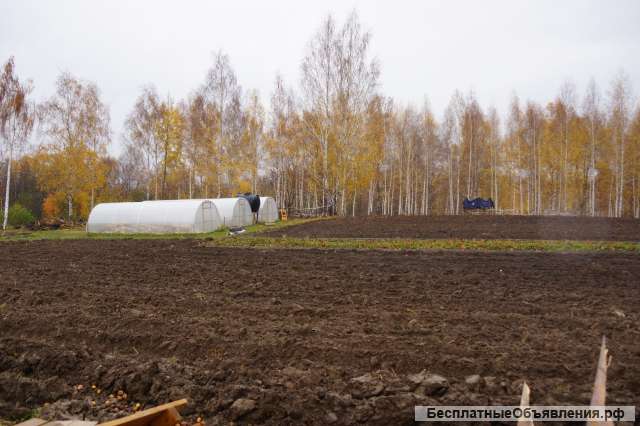 Семейная пара