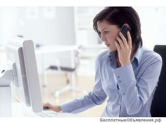 Продавец консультант