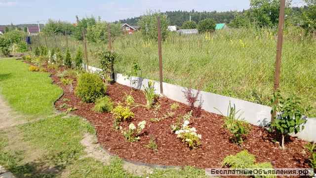 Садовая лента