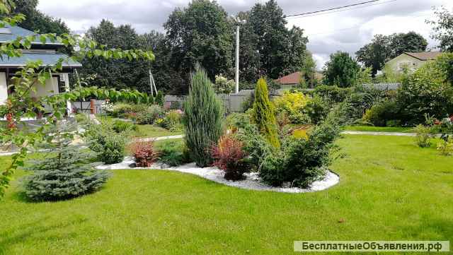 Садовая лента