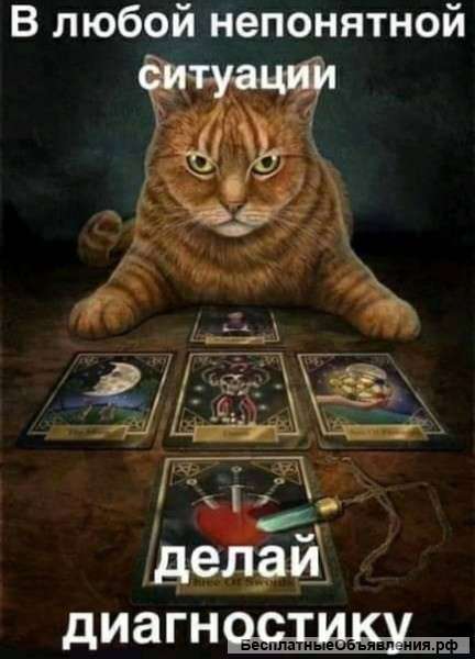 Оказываю все виды магических услуг