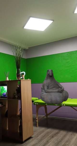 Массаж. Коррекция фигуры.