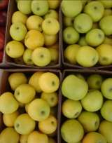 Яблоки оптом напрямую от Крымского производителя