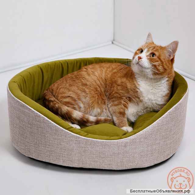 Лежанки и матрасики для кошек и собак