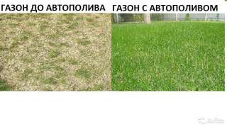 Автополив под ключ