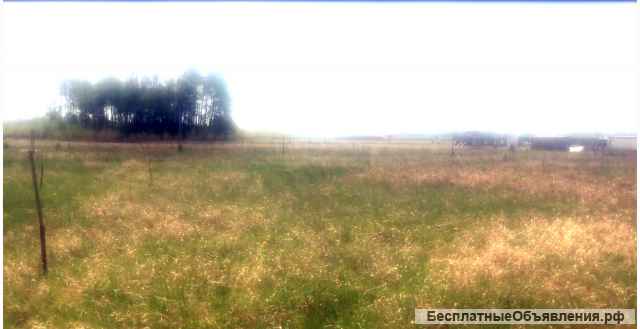 Земельный участок под ИЖС