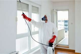 Уничтожение насекомых