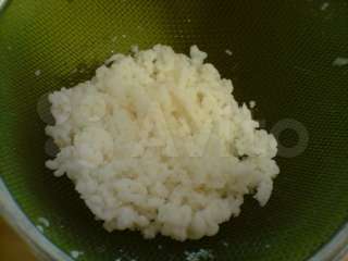 Тибетский молочный гриб