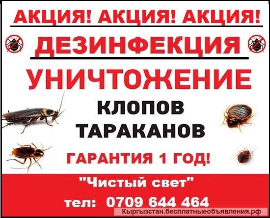 Дезинфекция квартир и домов. Акция Гарантия 1 год