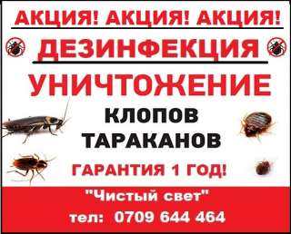 Дезинфекция квартир и домов. Акция Гарантия 1 год