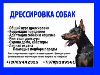 Дрессировка собак г.Феодосия