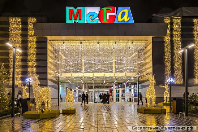 Охранник дневной в МЕГА-Химки