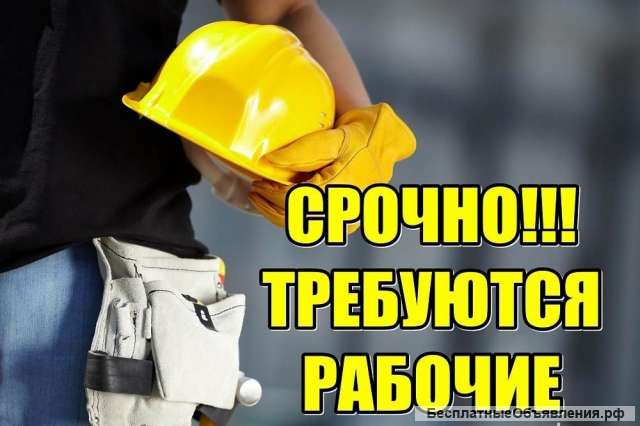 Требуются разнорабочие с ежедневной оплатой и проживанием