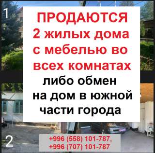 2 жилых дома с мебелью во всех комнатах (Жибек Жолу/ Уметалиева)