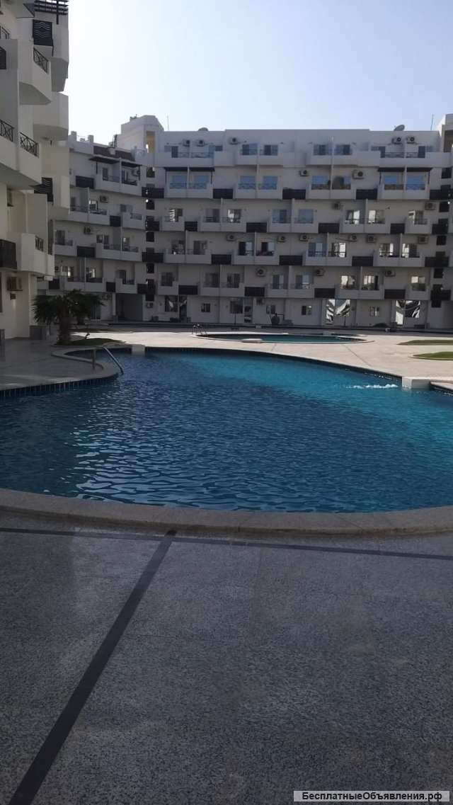 Студию (35 кв.м) в Хургаде (Красное море)