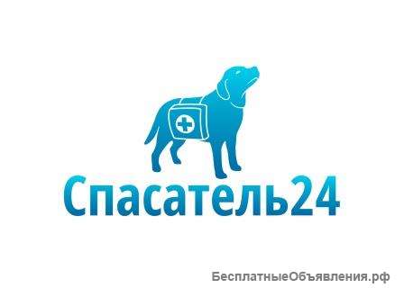 Оператор на удаленку на неполный день