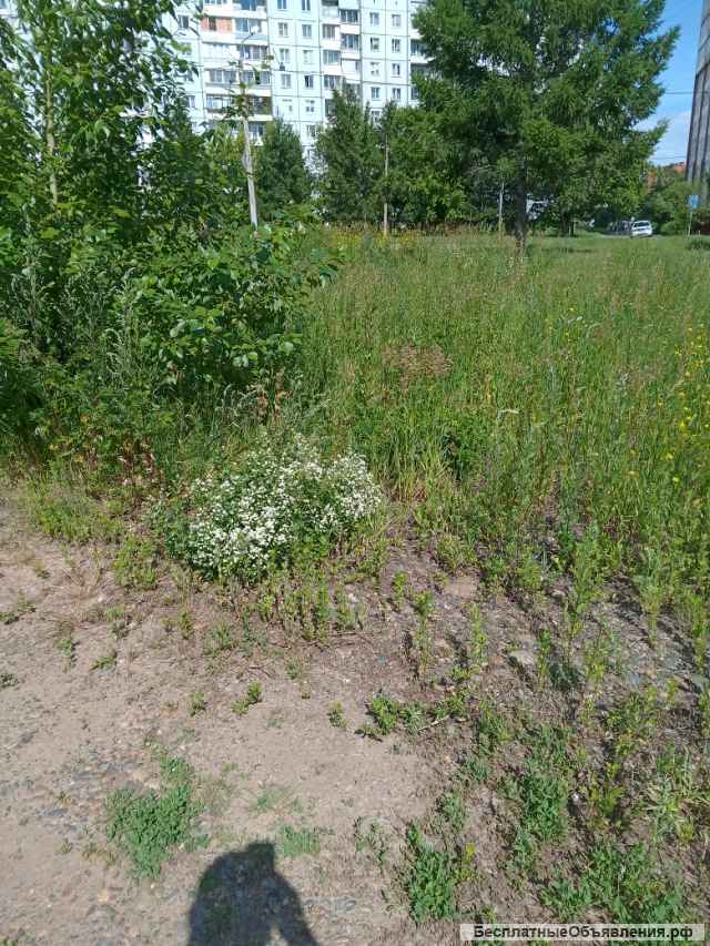 В мкр Солнечный г. Красноярска (около роддома) - Продается право аренды земельный участок площадью