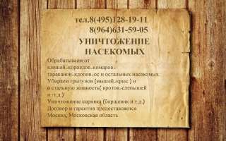 Обработка от насекомых, грызунов и не желательной растительности