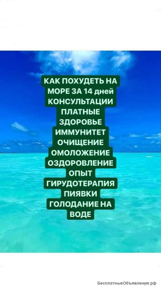 Диета программа похудения диетолог консультация онлайн ЗОЖ ПП гирудотерапия пиявки голодание на воде