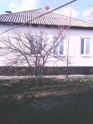 09-895 теплый дом из 4 комнат