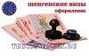 Шенгенские визы, мультивизы