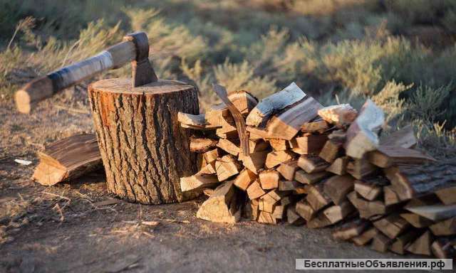 Кольщик берёзовых дров