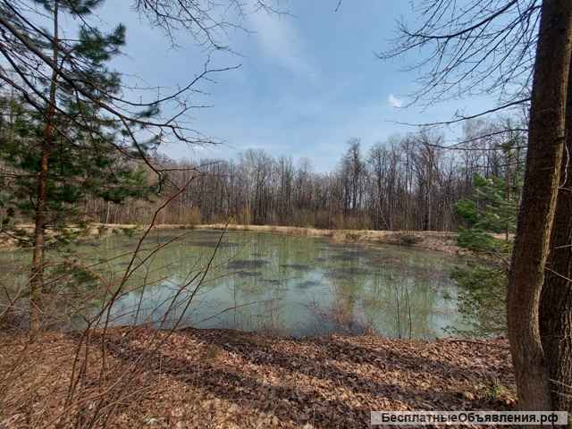 6 сот. земли в СНТ Надежда г.о. Серпухов