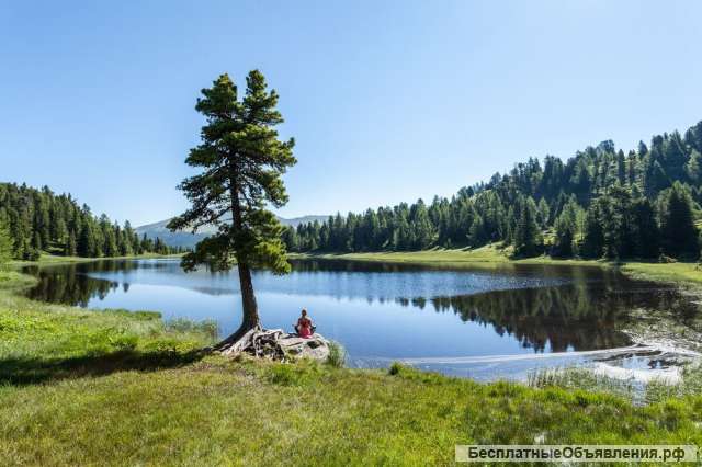 Инвестор -партнер (Кэмпинг -хаски парк)