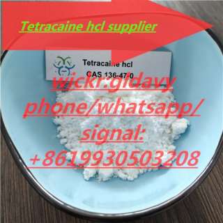 Tetracaine hcl powder tetracaine base powder China Largest distributor (whatsapp +8619930503208)