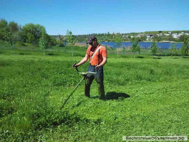 Покос Травы