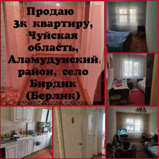 3к квартиру, Чуйская область, Аламудунский район, село Бирдик (Берлик)