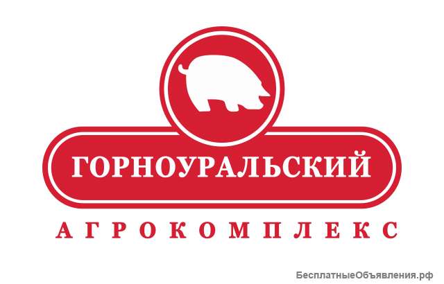 Грузчик