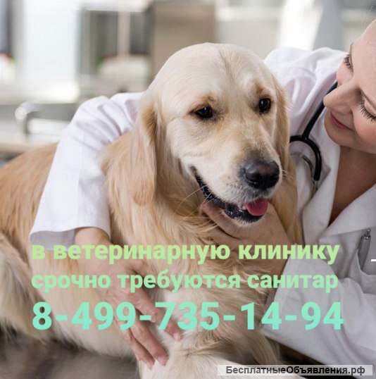 Ветеринарный Санитар