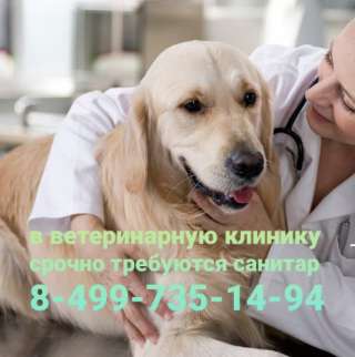 Ветеринарный Санитар