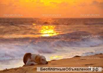 Сдаю комнаты в Сочи п. Лазаревское В Частном доме посуточно и длительно.