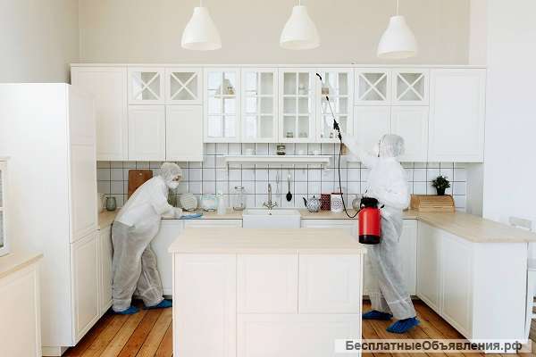 Профессиональная служба дезинфекции и дезинсекции «Дезпорядок»