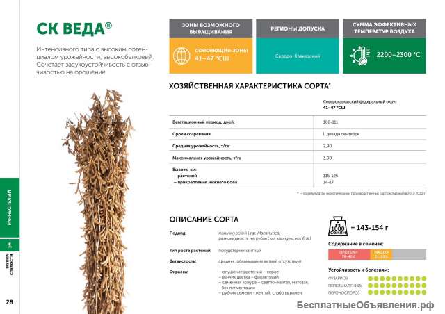 Семена сои: сорт СК ВЕДА селекции Компании "Соевый комплекс"