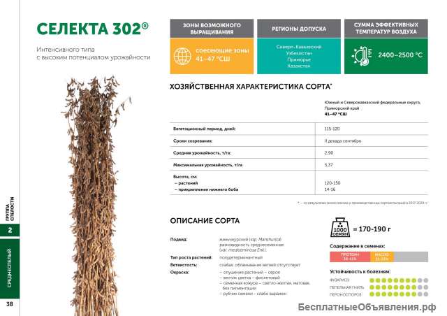 Семена сои: сорт Селекта 302
