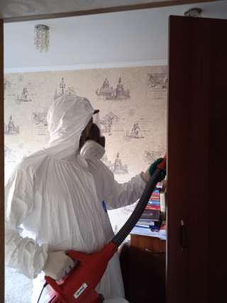 Уничтожение насекомых (клопов, тараканов, комаров, мух и др.)