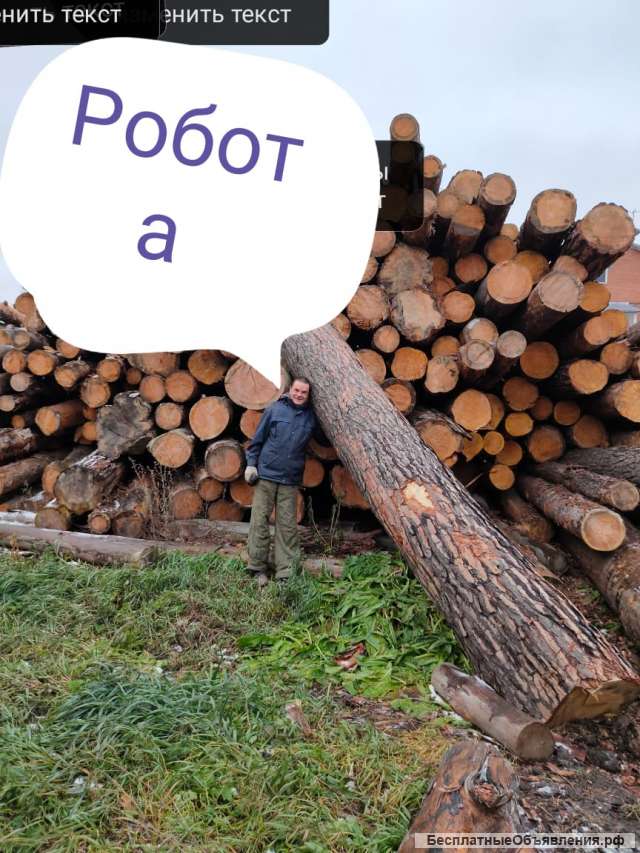 Грузчики, разнорабочие, строители