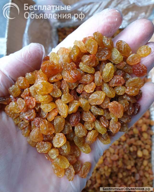 Изюм Иран, Индия, Афганистан оптом