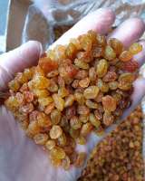 Изюм Иран, Индия, Афганистан оптом