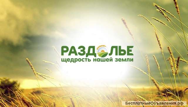 Разнорабочий